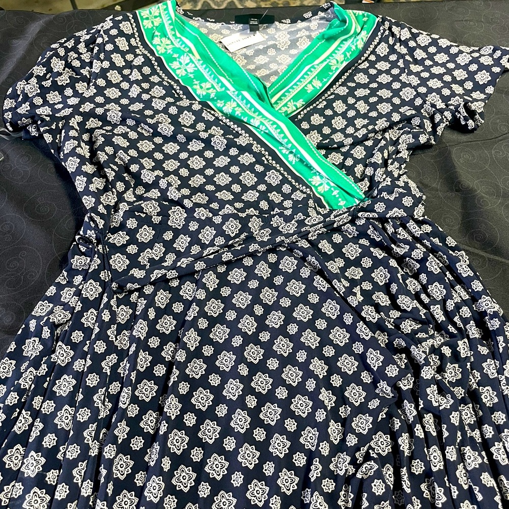 Layne Bryant dress